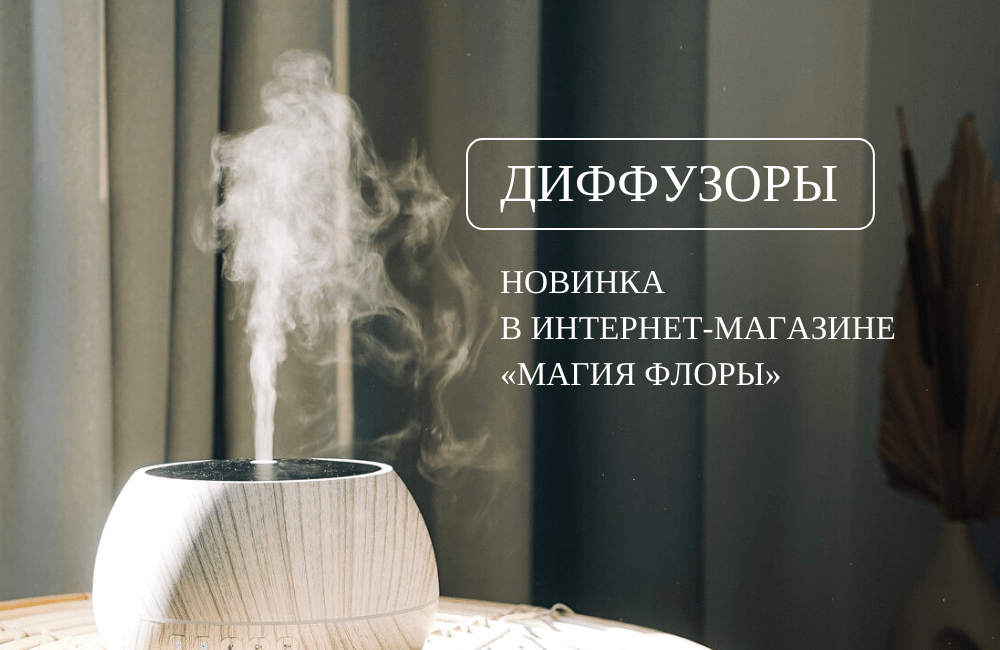Новинка в интерне-магазине Магия Флоры - Диффузоры