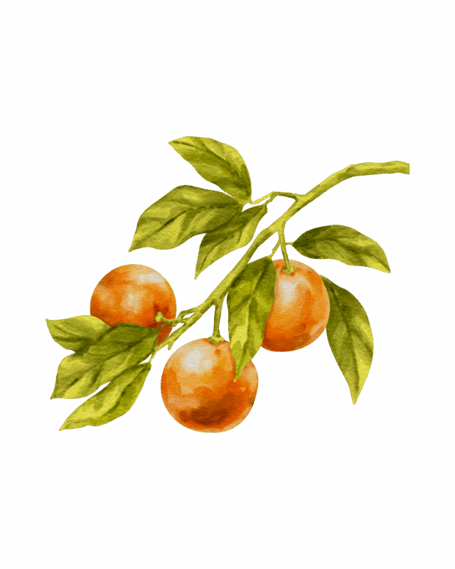 Не просто так нас тянет к радостному, оптимистичному и бодрящему маслу сладкого апельсина в тяжелые и запутанные моменты жизни! Множество научных исследований доказали эффективное влияние этого солнечного масла на снижение уровня стресса. С маслом апельсина удается посмотреть на проблемы под другим углом и найти в себе силы для их решения! Каждая капля этого цитруса ждёт своего часа во флакончике, чтобы скрасить даже самые тревожные дни!