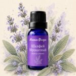 Шалфей Мускатный, <em>Salvia sclarea</em>